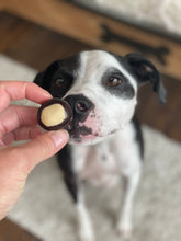 Load image into Gallery viewer, Buckeyes