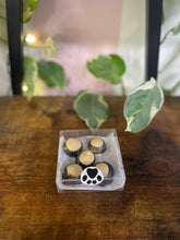 Load image into Gallery viewer, Buckeyes