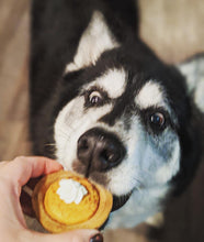 Load image into Gallery viewer, Pupkin Pie