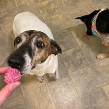 Load image into Gallery viewer, Donut Cake