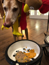 Load image into Gallery viewer, Pupsgiving Meal