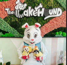 Load image into Gallery viewer, Private Easter Bunny pictures
