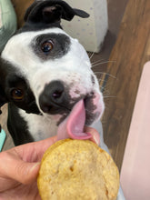 Load image into Gallery viewer, Woofie Pie
