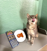 Load image into Gallery viewer, Goldfish Cake for Cats
