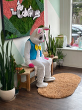 Load image into Gallery viewer, Private Easter Bunny pictures
