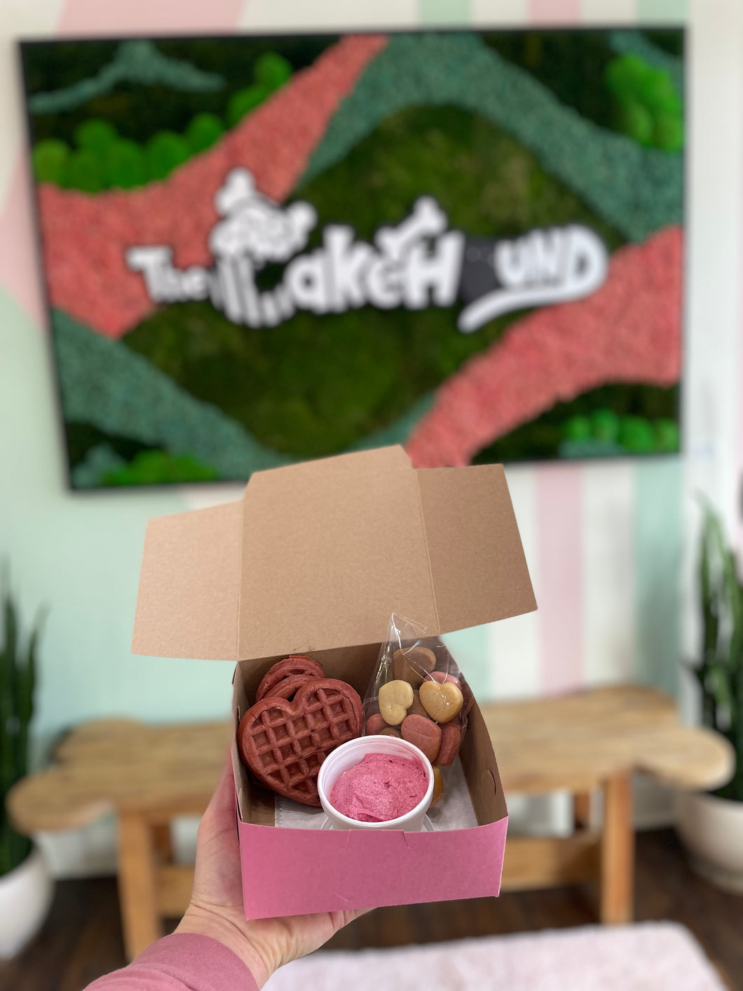 Valentines Treat Box