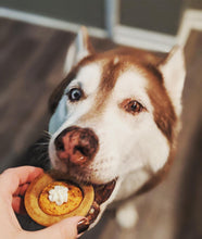 Load image into Gallery viewer, Pupkin Pie
