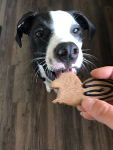 SQUIRREL! Cookie